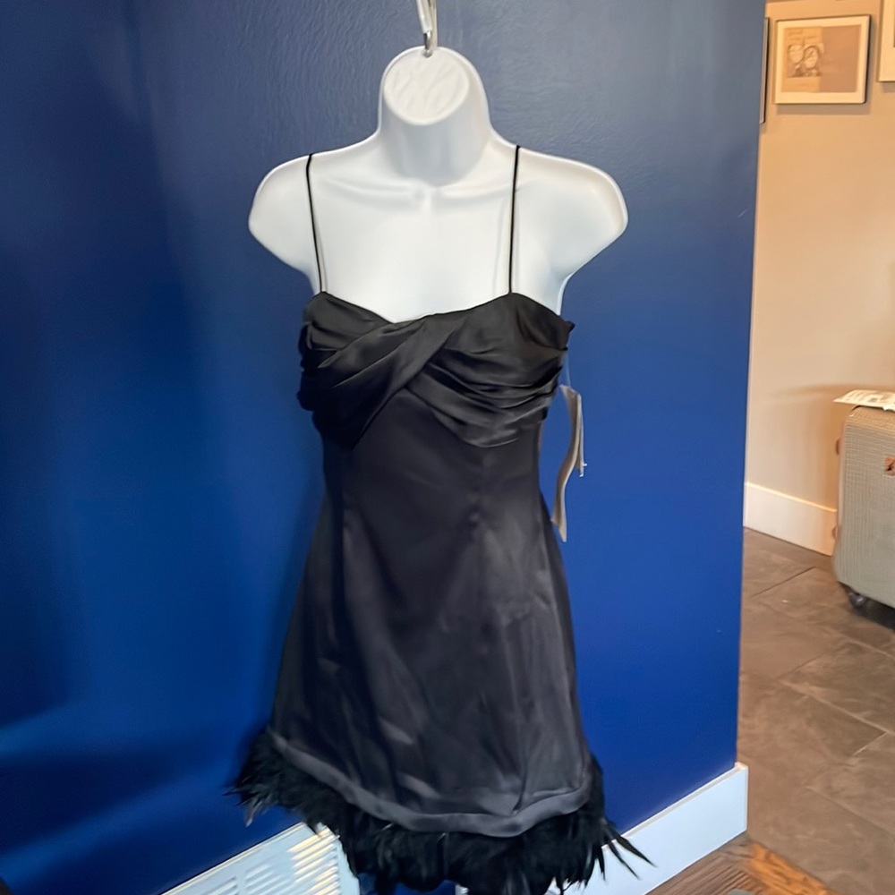 NWT Roberta cocktail dress with feather embellishment